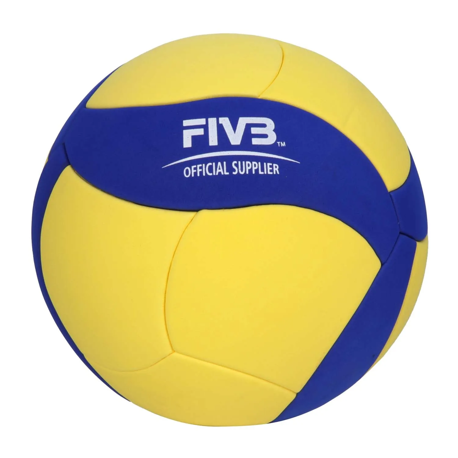 Eva Fiam Laminated Volleyball