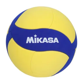 Eva Fiam Laminated Volleyball