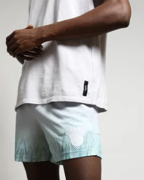 Nash Mesh Shorts Agave Gradient