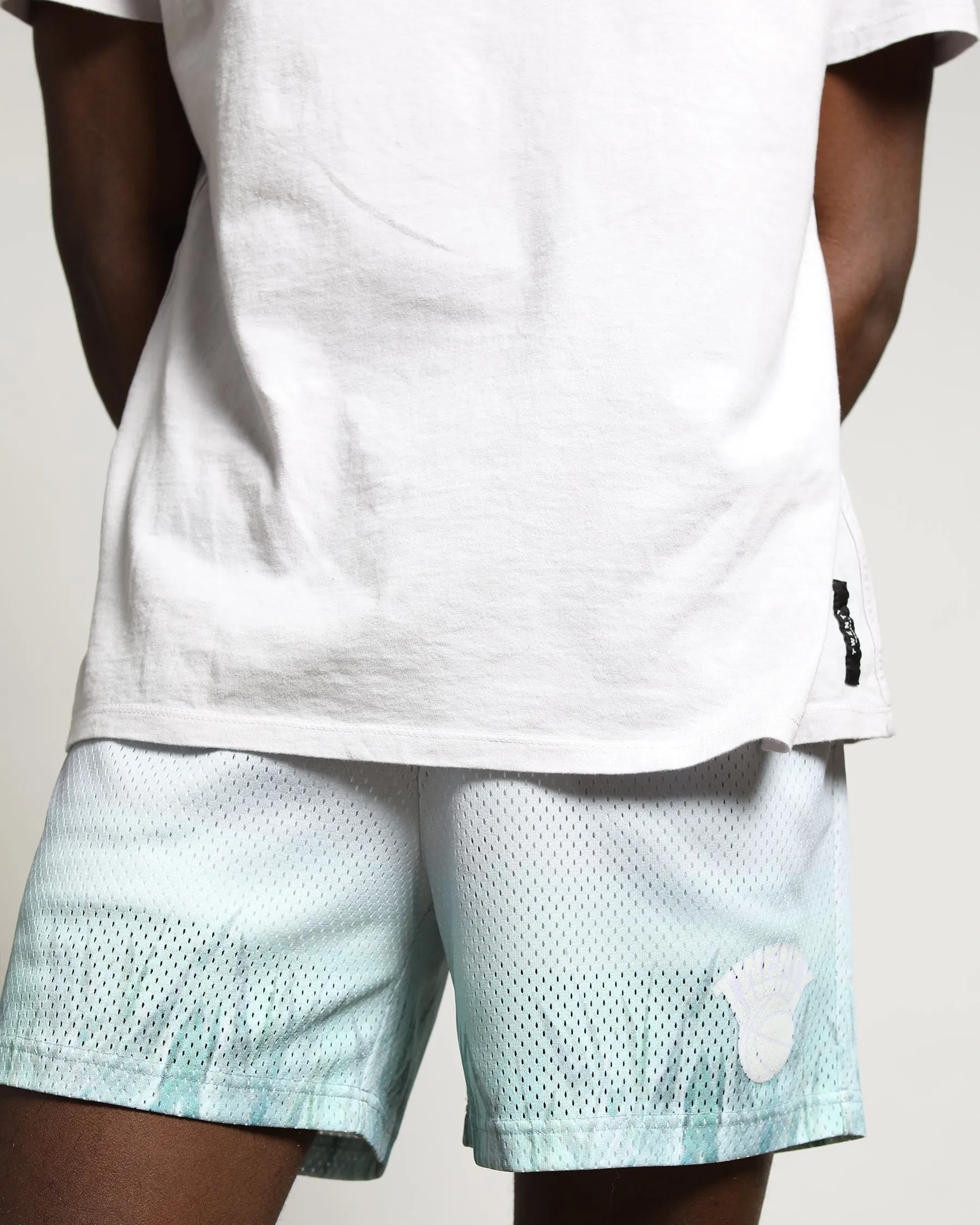 Nash Mesh Shorts Agave Gradient